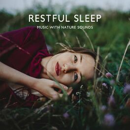 Ensemble de Musique Zen Relaxante - Esprit méditatif ft. Trouble Sleeping  Music Universe MP3 Download & Lyrics