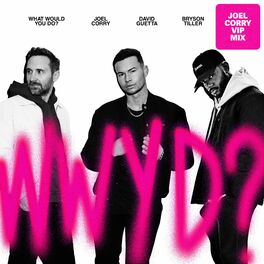 Album cover of What Would You Do? (feat. Bryson Tiller) [Joel Corry VIP Mix]