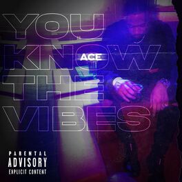Album cover of You Know The Vibes