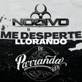 Album cover of Me desperte llorando (feat. De Parranda)
