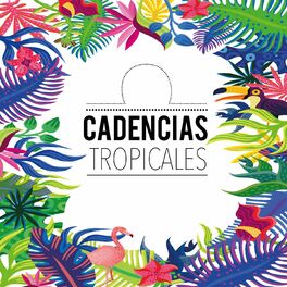 Album cover of Cadencias Tropicales