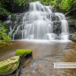Album cover of Forest Waterfall Sounds (Loopable)