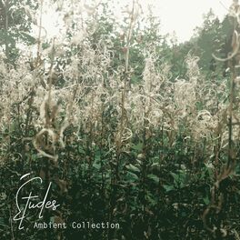 Album cover of Études : Ambient Collection