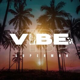 Album cover of Vibe Mein