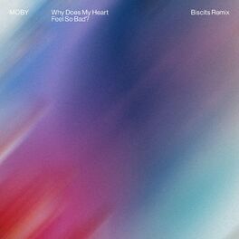 Album cover of Why Does My Heart Feel So Bad (Biscits Remix)