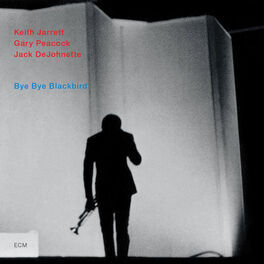 Album cover of Bye Bye Blackbird