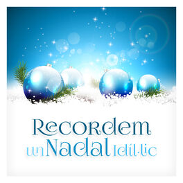 Album cover of Recordem un Nadal Idílic