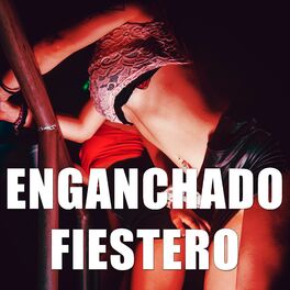 Album cover of Enganchado fiestero