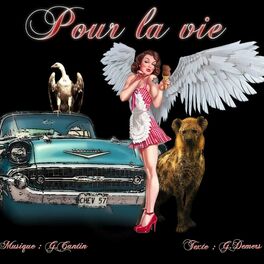 Album cover of Pour la vie