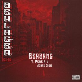 Album cover of Beklager