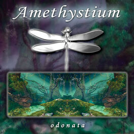 Album cover of Odonata