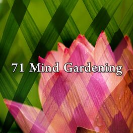 Album cover of 71 Mind Gardening