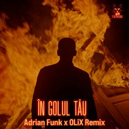 Album cover of În Golul Tău (Adrian Funk x OLiX Remix)