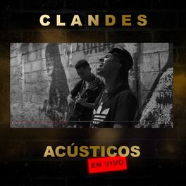 Album cover of Acústicos (En Vivo)