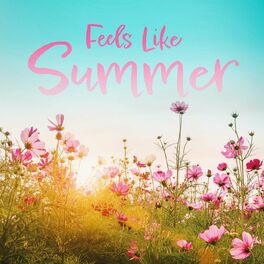 Album cover of Feels Like Summer