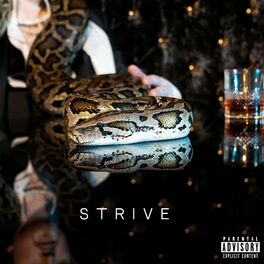 Album cover of STRIVE