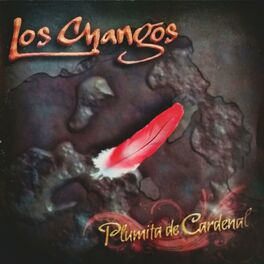 Album cover of Plumita De Cardenal