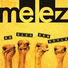 Album cover of Ne Oldu Sen Söyle