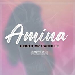 Album cover of Amina