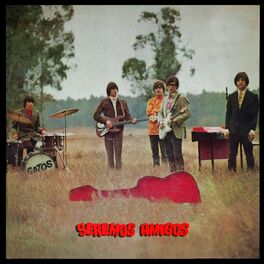 Album cover of Seremos Amigos