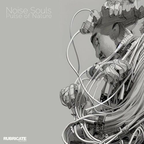 Noise Souls - Pulse Of Nature (2023) 