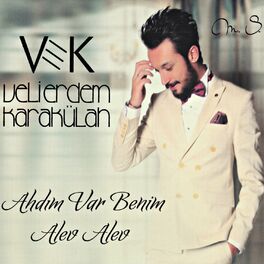 Album cover of Ahdım Var Benim - Alev Alev