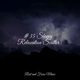 Album cover of #35 Sleepy Relaxation Scatter