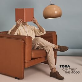 Album cover of Can't Buy The Mood