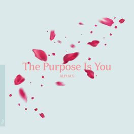 Album cover of The Purpose Is You