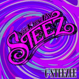 Album cover of You Know My Steez