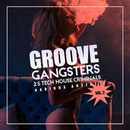 Album cover of Groove Gangsters, Vol. 2 (25 Tech House Criminals)