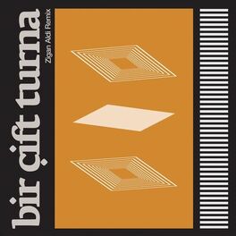 Album cover of Bir Cift Turna (Zigan Aldi Remix)