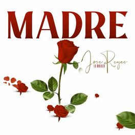 Album cover of Madre
