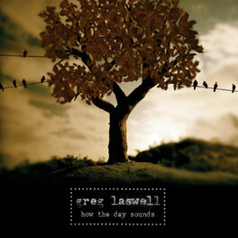 Album cover of How The Day Sounds