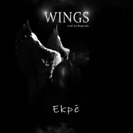 Album cover of WINGS