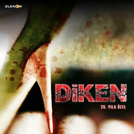 Album cover of Diken
