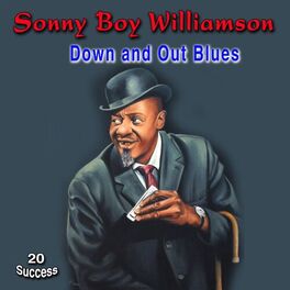 Album cover of Down and Out Blues (20 Success)