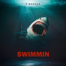 Album cover of Swimmin