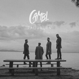Album cover of ZALJUBLJEN