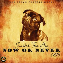 Album cover of Now Or Never