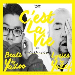 Album cover of C'est La Vie