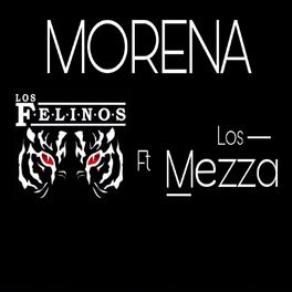 LOS FELINOS Y LOS MEZZA - Morena: letras de canciones | Deezer