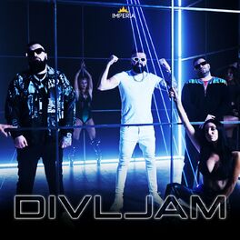 Album cover of Divljam