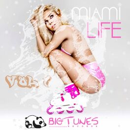 Album cover of Miami Life, Vol. 1
