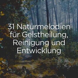 Album cover of 31 naturmelodien für geistheilung, reinigung und entwicklung