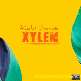Album cover of Xylem