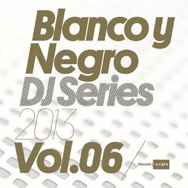 Album cover of Blanco Y Negro Music DJ Series 2013, Vol. 6