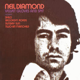 Album cover of Velvet Gloves And Spit