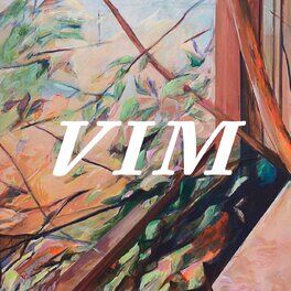 Album cover of VIM