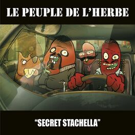Album cover of Secret Stachella